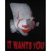 8006-itwantsyou-500x500