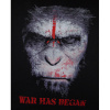 8502-war-has-began-500x500