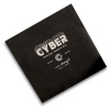cybe1_1643987692