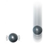 pallpe