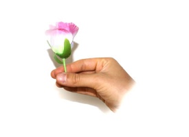 rosee